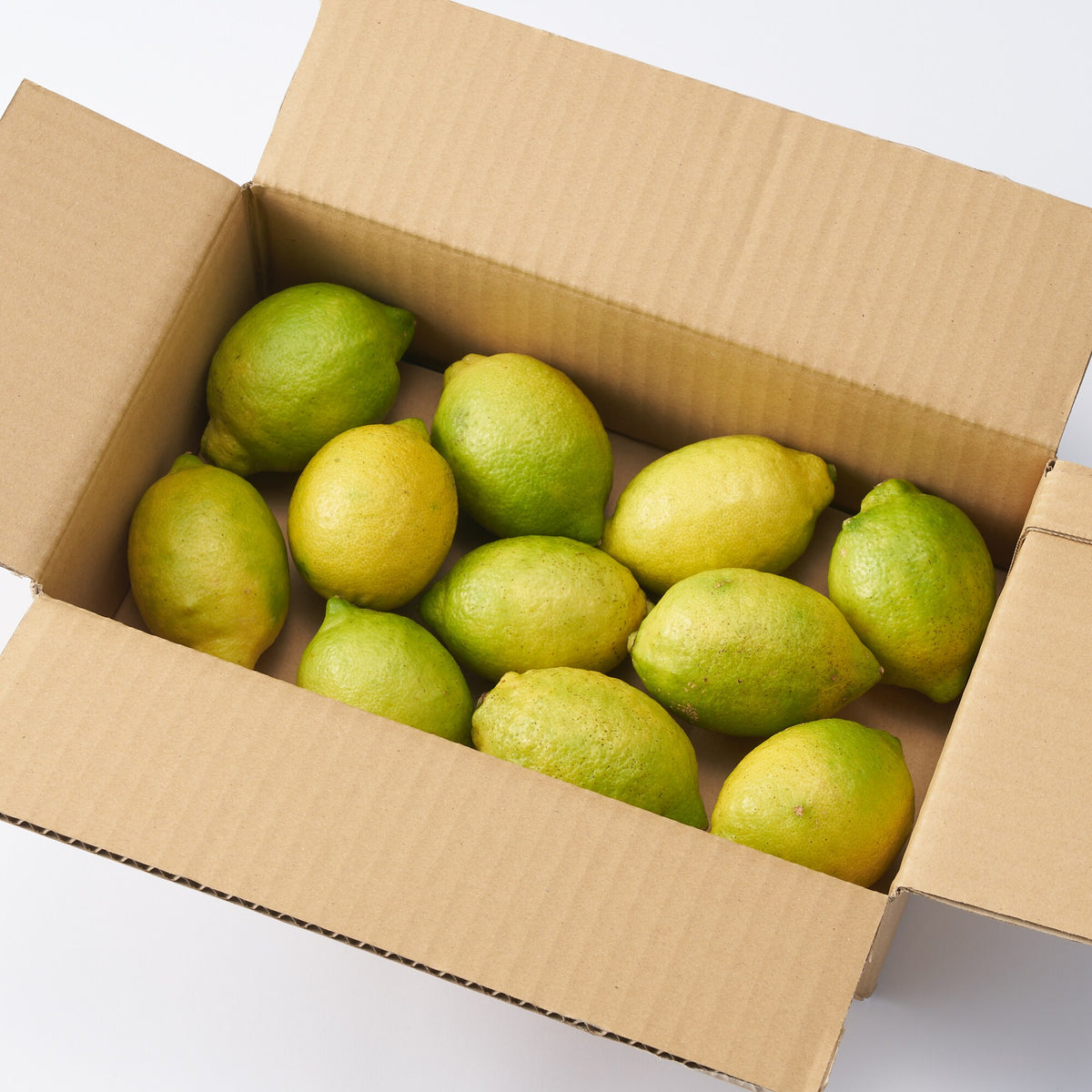 愛媛|無茶々園「グリーンレモン」約1.5kg
