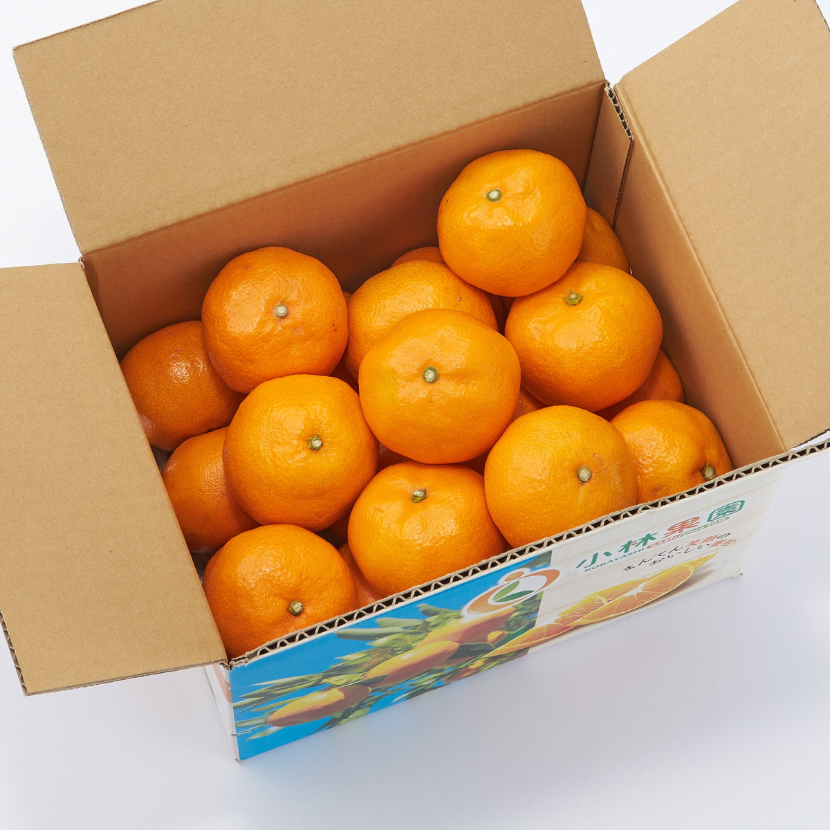 愛媛|小林果園「媛一みかん」家庭用・約3kg