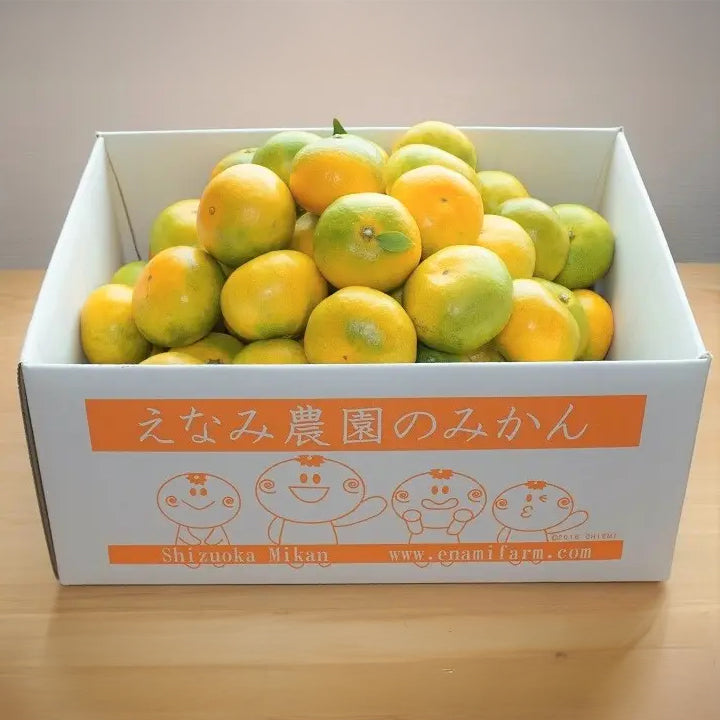 静岡|えなみ農園「ゆら早生みかん」約4.5kg