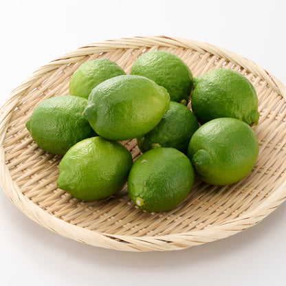 静岡｜えなみ農園「ユーレカレモン」グリーン約1kg