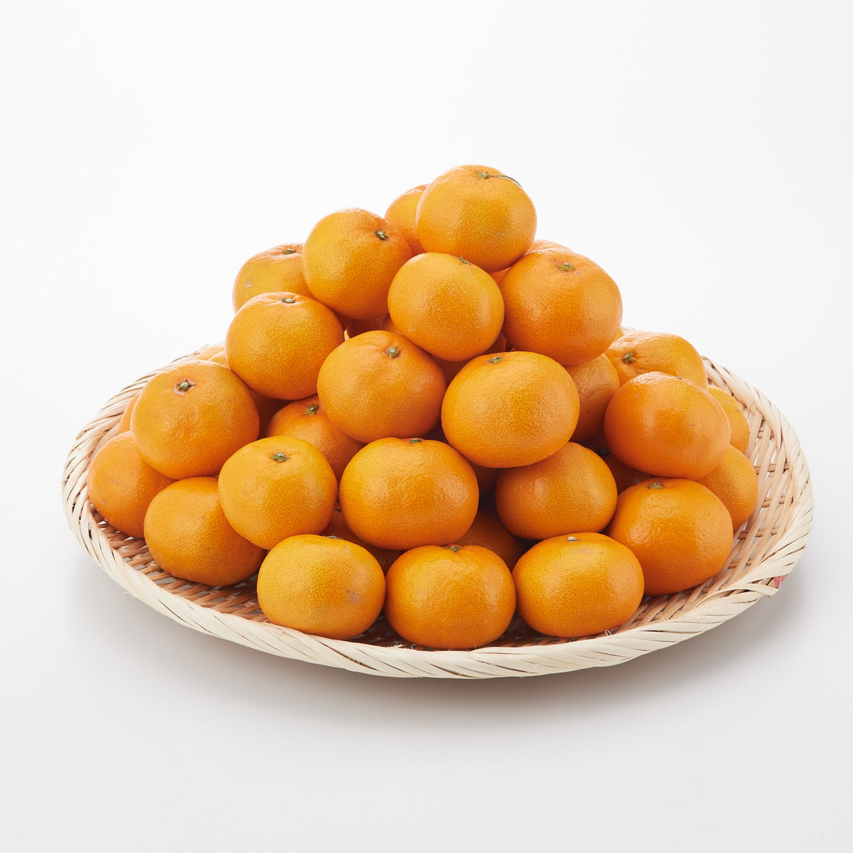 福岡｜いわくま果樹園「みかん（北原早生）」約4.5kg