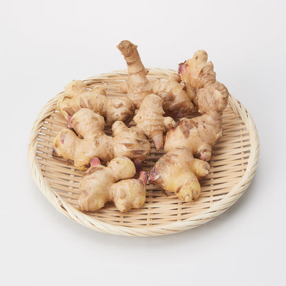 長崎｜のんびり山「新生姜」約500g