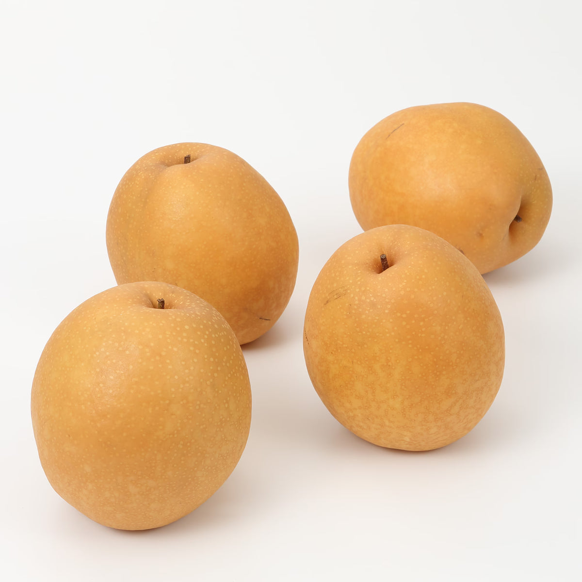 鳥取｜ひろおかファームの梨「王秋」家庭用・約2.2kg
