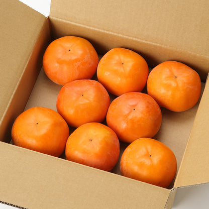 奈良｜堀内果実園「富有柿」約2kg