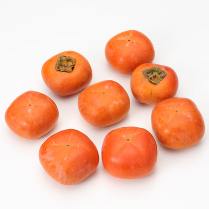 和歌山｜観音山フルーツガーデン「紀ノ川柿」約3kg