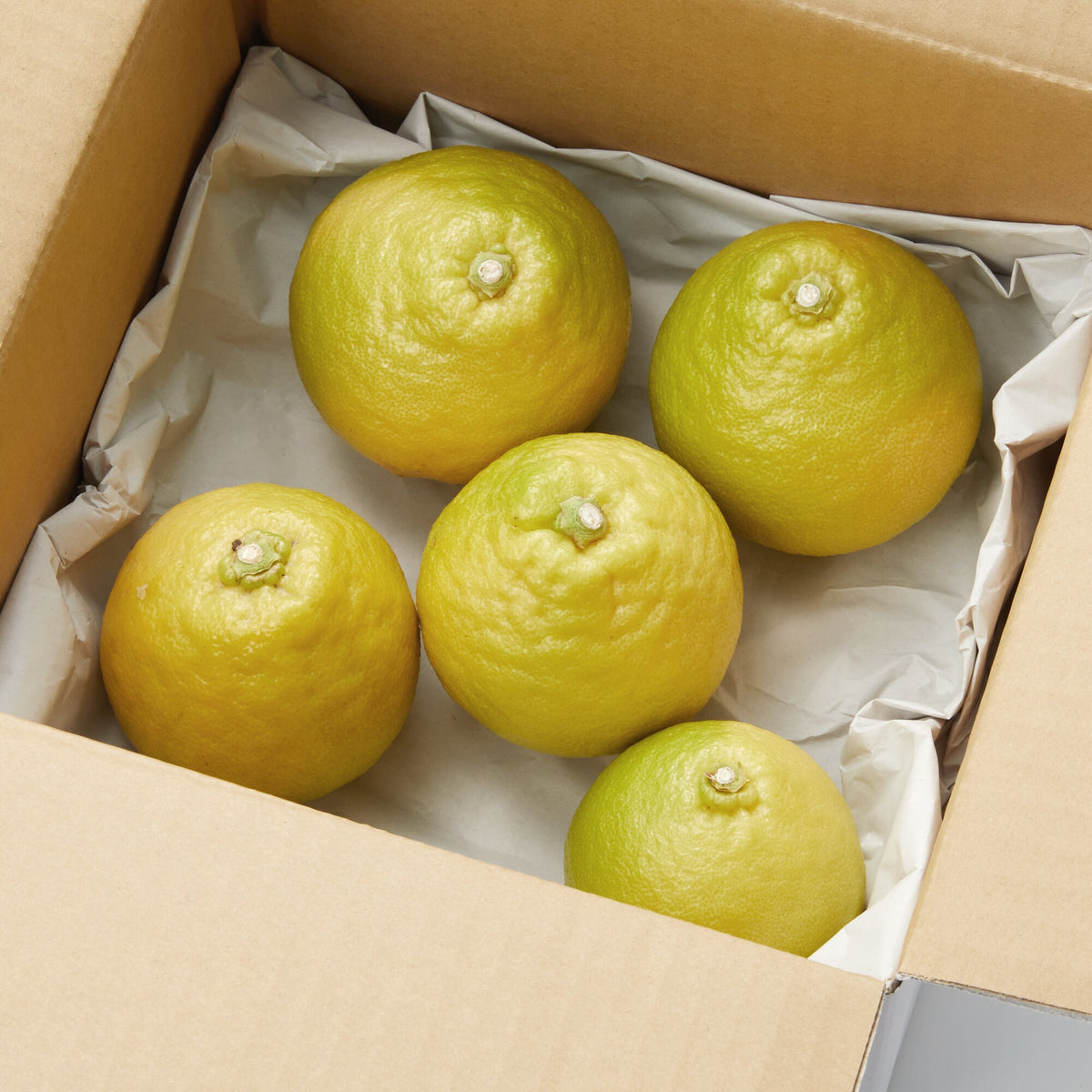 静岡｜えなみ農園「ベルガモット」約1kg