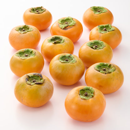 鳥取｜ひろおかファーム「輝太郎」家庭用・約4kg