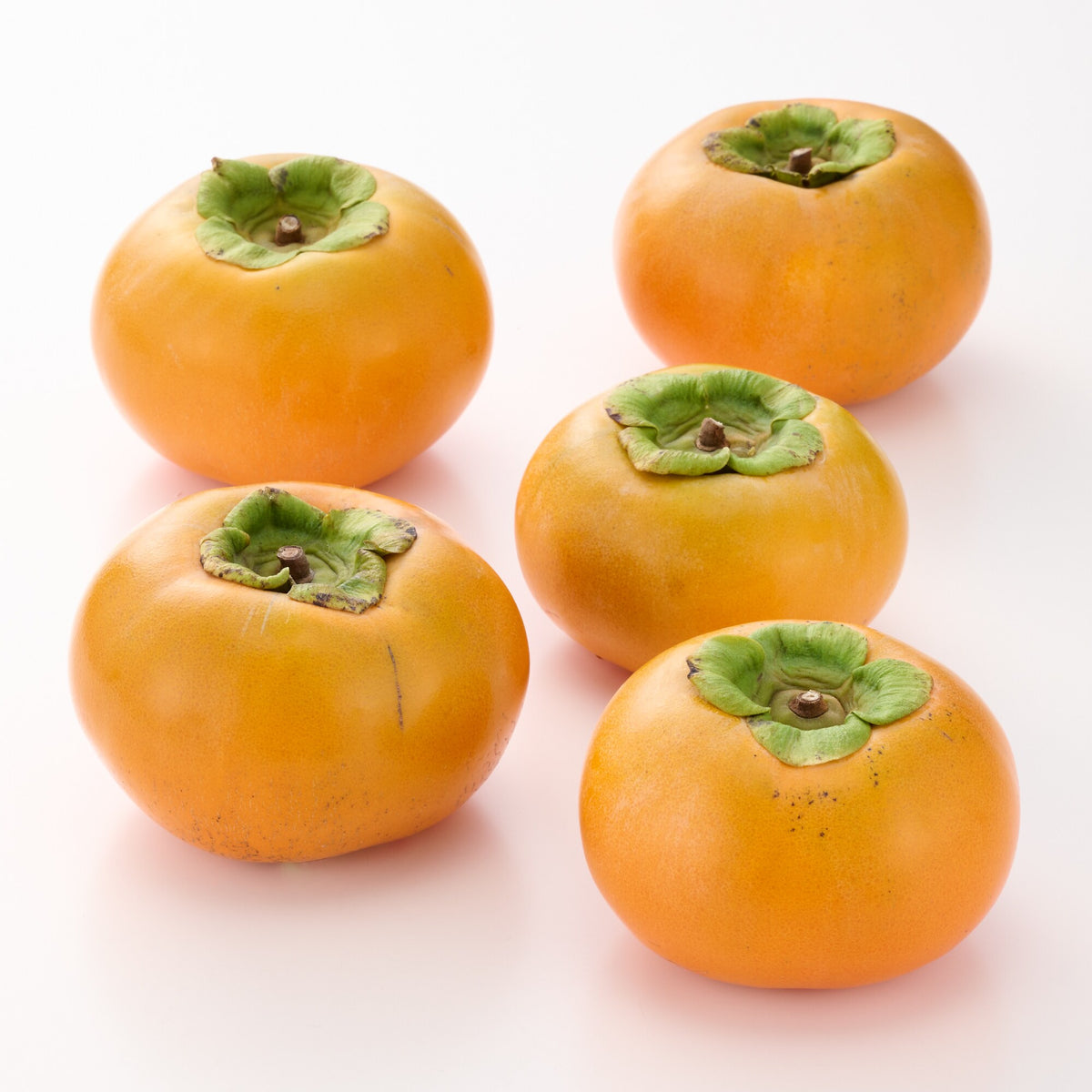 鳥取｜ひろおかファーム「輝太郎」約2kg