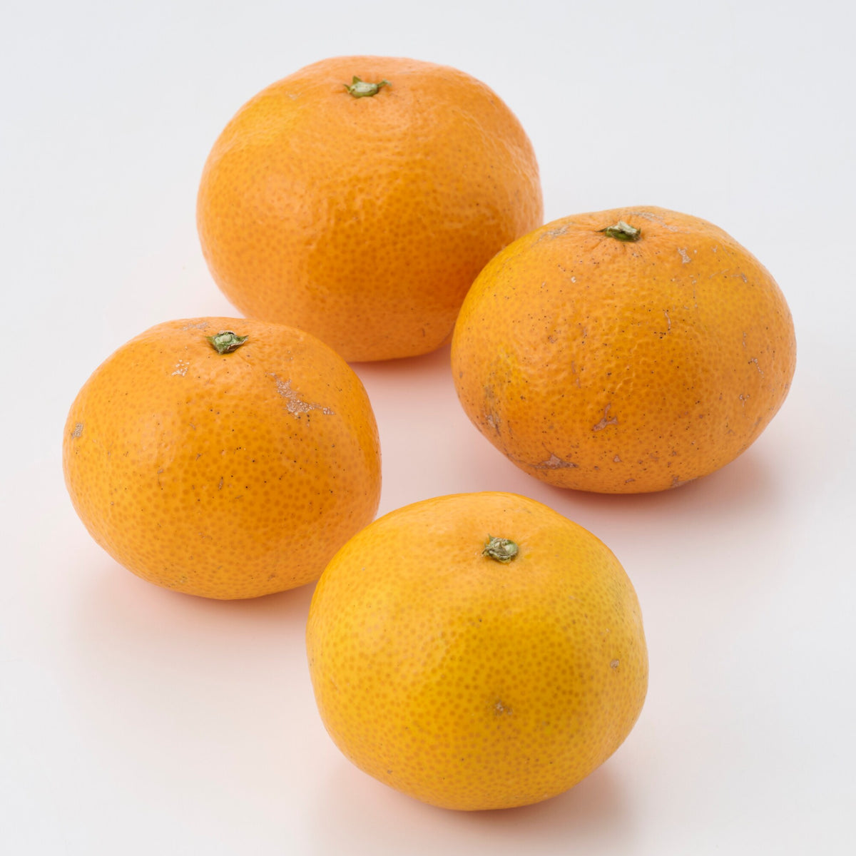 愛媛｜無茶々園「温州みかん」約3・5・7kg