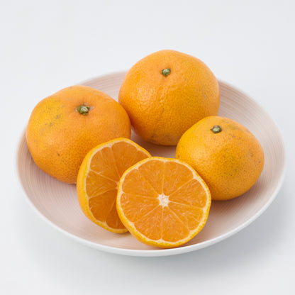 愛媛｜無茶々園「温州みかん」約3・5・7kg