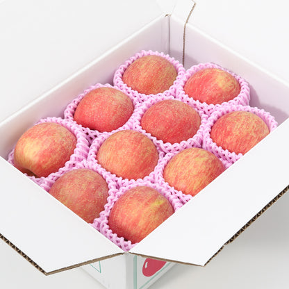福島｜たかはし果樹園「りんご」家庭用・約3kg