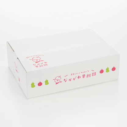 山形｜中川果樹園「樹上完熟ふじ」家庭用・約3kg