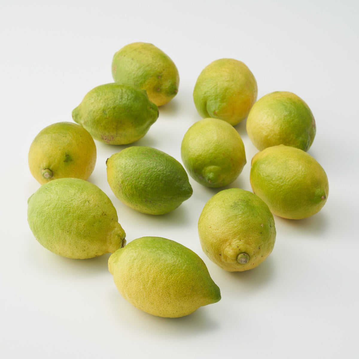 愛媛｜無茶々園「グリーンレモン」約1.5kg