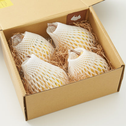 新潟・佐渡｜吹上農園「ル レクチェ」約1.5kg