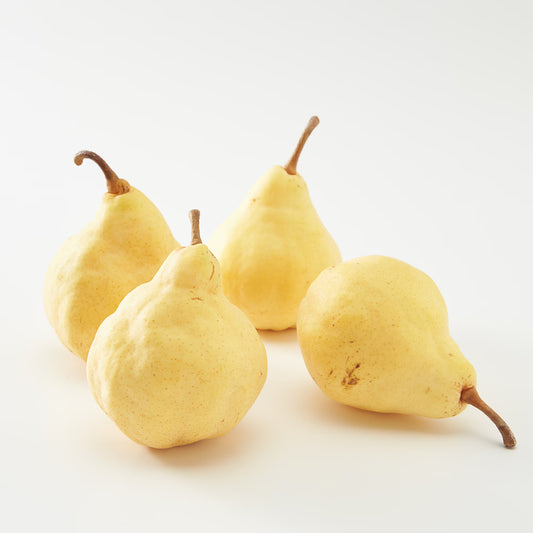 新潟・佐渡｜吹上農園「ル レクチェ」約1.5kg