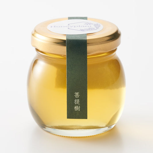 北海道｜ハニープラントの生はちみつ「菩提樹」120g