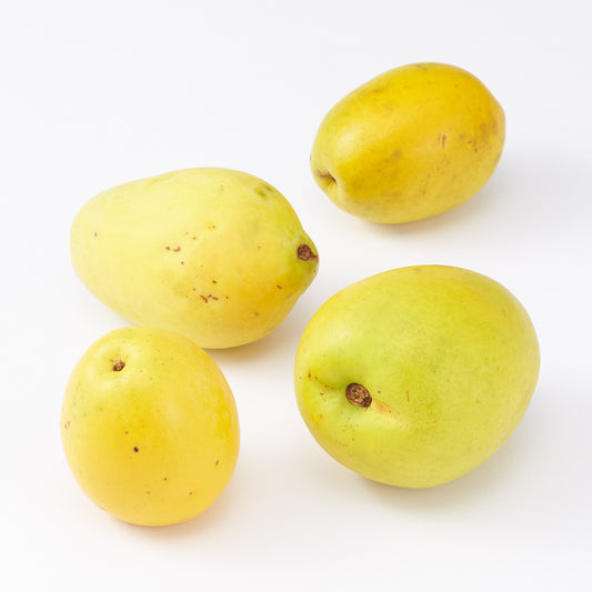 奈良｜ 堀内果実園「かりん」約1kg