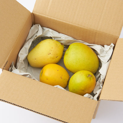 奈良｜ 堀内果実園「かりん」約1kg