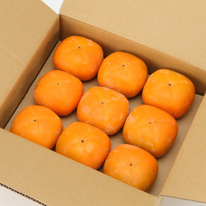 奈良｜堀内果実園「たねなし柿」約2kg
