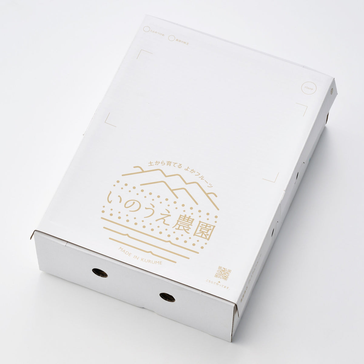 福岡｜いのうえ農園「秋王」秀品・約2kg
