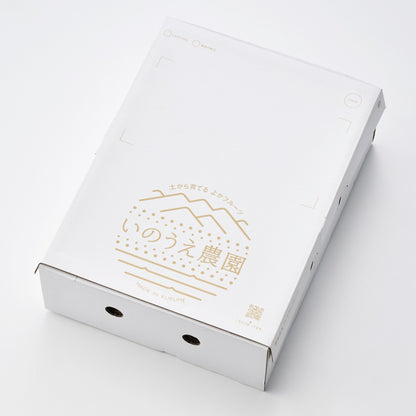 福岡｜いのうえ農園「秋王」秀品・約2kg