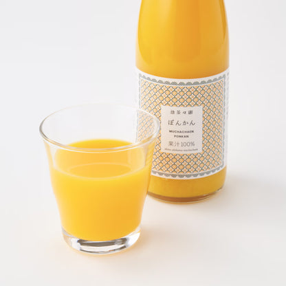 愛媛｜無茶々園「ポンカンジュース」720ml×6本