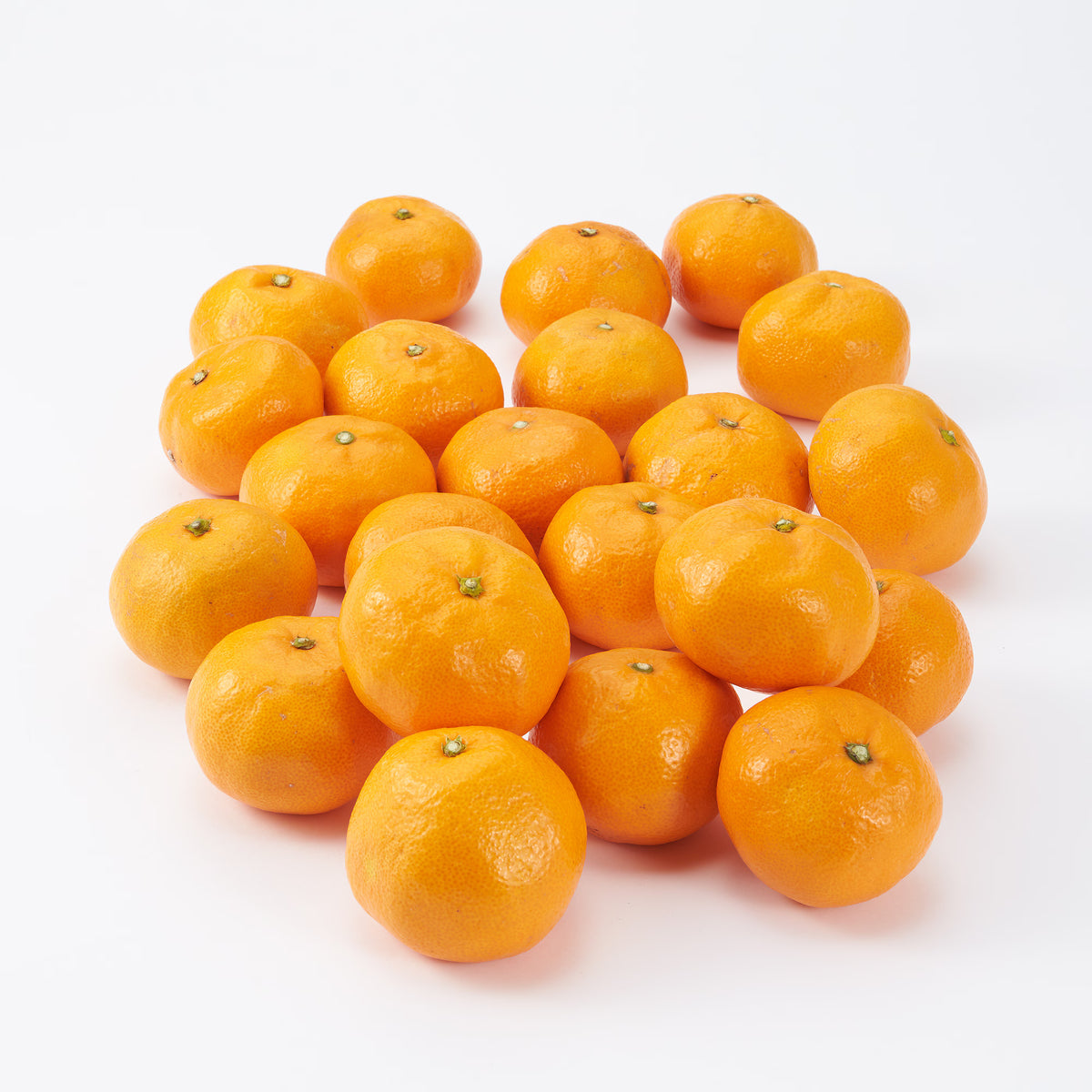 愛媛｜小林果園「媛一みかん」家庭用・約3kg