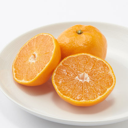 愛媛｜小林果園「媛一みかん」家庭用・約3kg