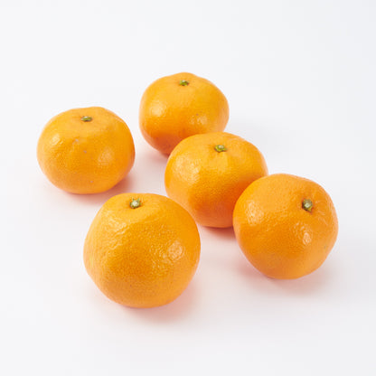 愛媛｜小林果園「媛一みかん」家庭用・約3kg