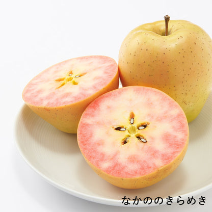 長野｜展伸園「りんご4種セット（なかののきらめき・名月・ムーンルージュ・ふじ）」家庭用・各2個入り