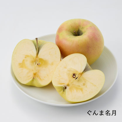 長野｜展伸園「りんご4種セット（なかののきらめき・名月・ムーンルージュ・ふじ）」家庭用・各2個入り