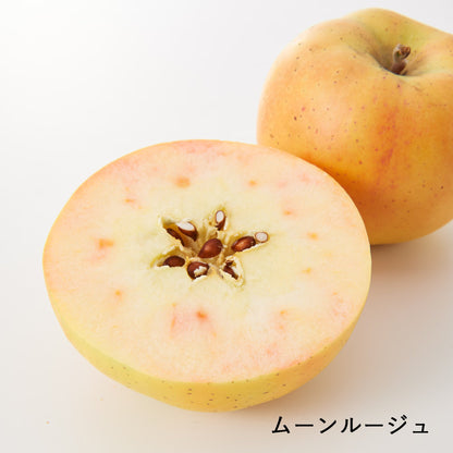 長野｜展伸園「りんご4種セット（なかののきらめき・名月・ムーンルージュ・ふじ）」家庭用・各2個入り
