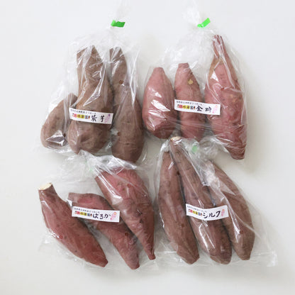 鳥取｜浜根農園「さつまいもセット」約2kg（約500g×4種）