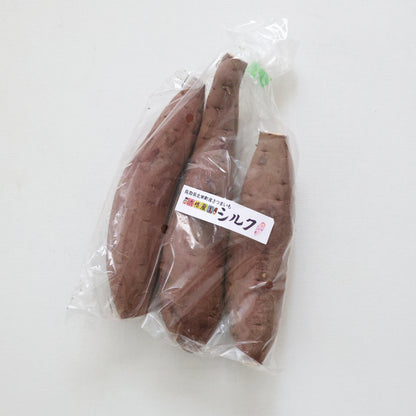 鳥取｜浜根農園「シルクスイート」約2kg